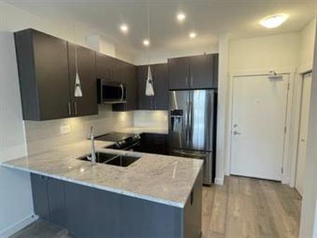 New Condo - 1 Bed/Bath