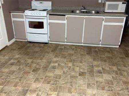 1 bedroom ground level basement available in Aldergrove