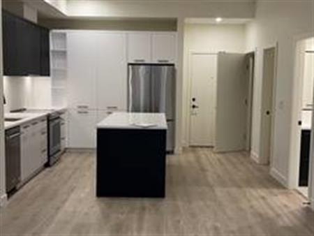 BRAND NEW Top Floor Condo 2Br 2 Bath 1Den & Parking