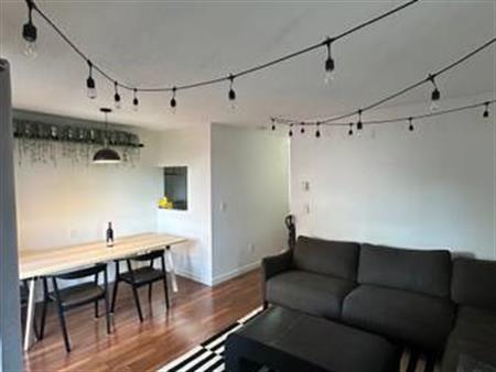 AVAILABLE NOW- Bright, Furnished, 1 Bed/1Bath Commercial Drive