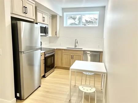 Comfortable new building basement fully furnished | Calgary