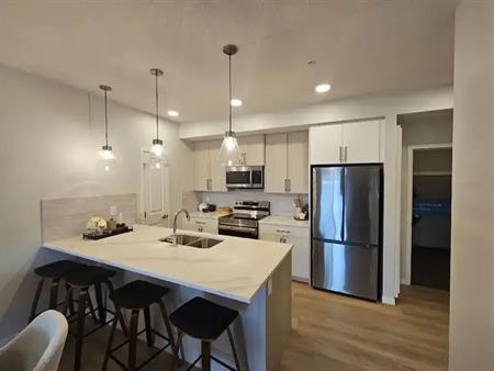 New Modern Pet Friendly Condo in Seton | 20295 Seton Way Southeast, Calgary