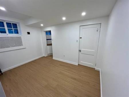 Renovated Studio Basement Suite with Unique Care Arrangement