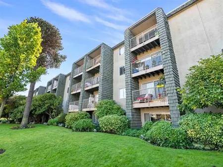 Niagara Court Apartments | 535 Niagara Street, Victoria