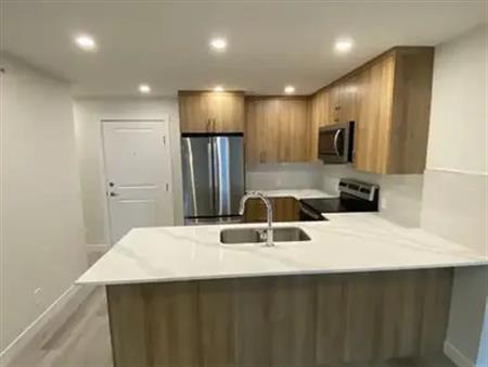 Brand New Large One Bedroom in the Beltline Downtown Calgary! | 1400 10 Avenue Southwest, Calgary