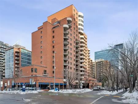 PRICE DROP from $1800 to $1600 - Totally Renovated 2 Bedroom Condo | 315 - 738 3 Avenue Southwest, Calgary