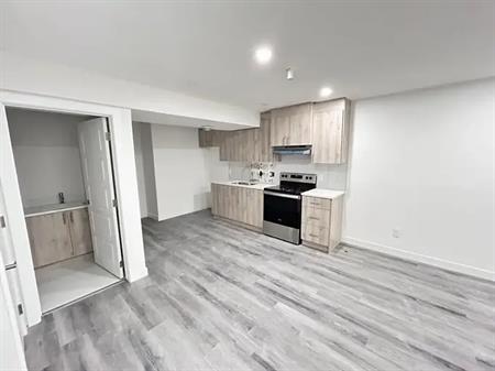 2 Bedroom 1 Bathroom Newbuilt Basement | Calgary