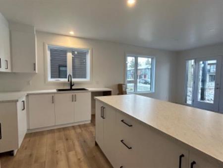 Appartement style condo grand 4 1/2 lumineux