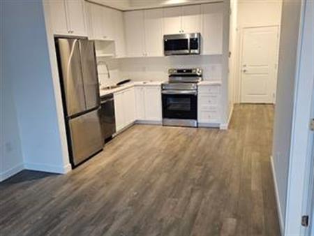 Brand New Condo with VIEWS - 3beds 2 bath