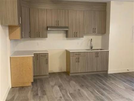 Bright and clean 1 Bedroom Grandview Heights Suite