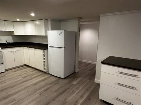 1 Bedroom Spacious Basement Suite