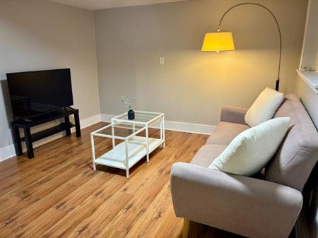 Furnished One Bedroom Suite near Braid Skytrain