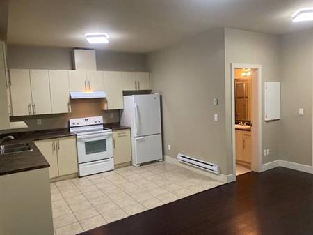 2 bedroom quiet and clean basement suite