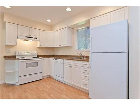 Newly renovated 1 Bedroom & large Living room Basement