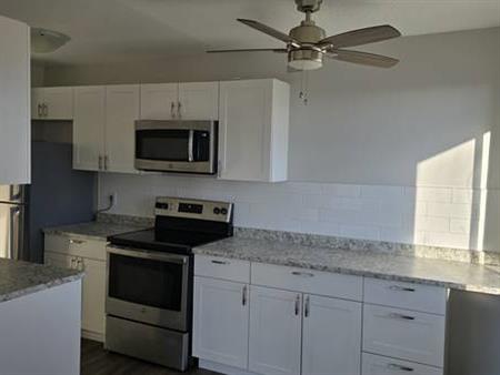 2 Bedroom - Fully Renovated Coner unit