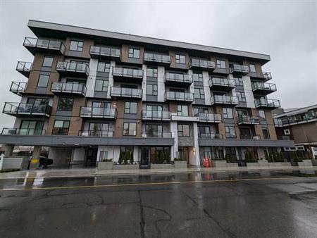 Brand New One Bedroom Condo $1950.00 plus Utilities- pets considered