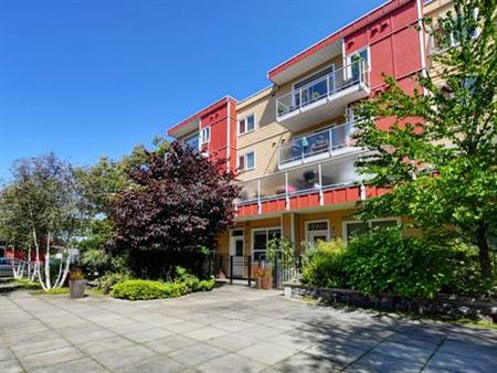 316-1315 Esquimalt Rd - Available February 1st