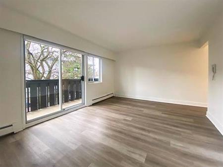 Newly-Renovated 1-Bedroom Apartment