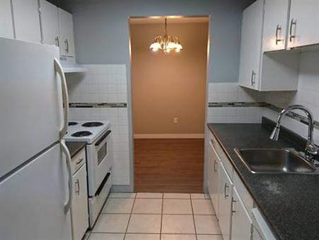 2 Bed 2 Ba + 2 Park (Condo) Internet Included - Available Jan 1st 2024