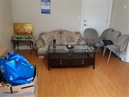 1 bedroom basement for rent