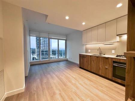 Brand new 1 bed 1 bath apartment for rent