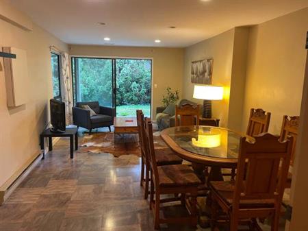 Large furnished 1 bedroom