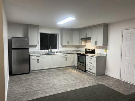 2 bedroom basement suite - fully renovated