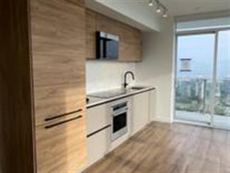 Brand new stunning view high floor 2 bed 1 bath apartment in Surrey