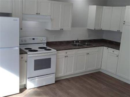 1 bedroom newly renovated,Bright Secure Apartment For Rent ! Central hope locati