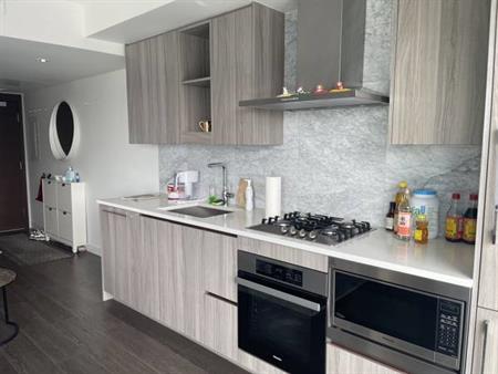 Vancouver Downtown 1bed1bath Apt