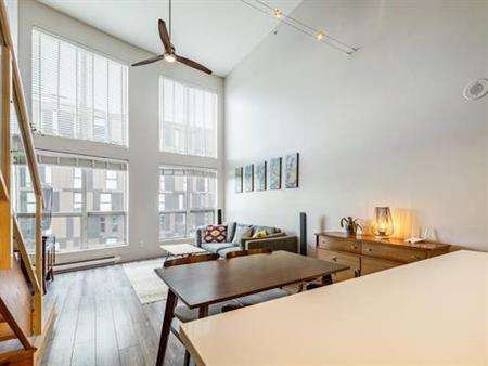 One Bedroom Loft With 16' Ceilings and Great View "The Spot"