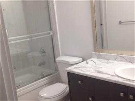 2bed &1bath bsmt suite - 2019 house