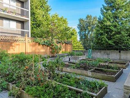 On-Site Management, Community Garden, Private balcony