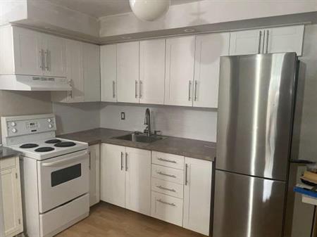 Greenwood & Danforth Bsmt Apt for rent