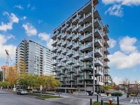 UBC Wesbrook village 1 bedroom 1 bathroom shared kitchen