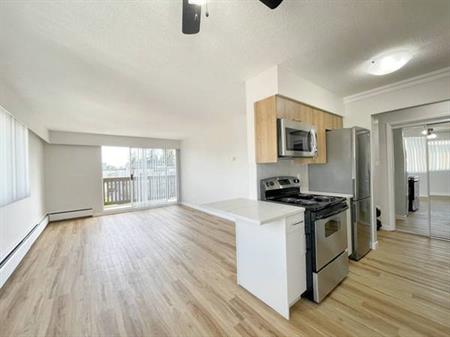 New Westminster 2 BEDROOM - TOP floor, just RENOVATED - January 1st