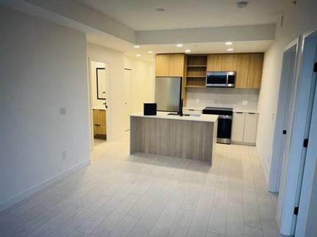 Beautiful BRAND NEW PENTHOUSE 2BED/1BATH