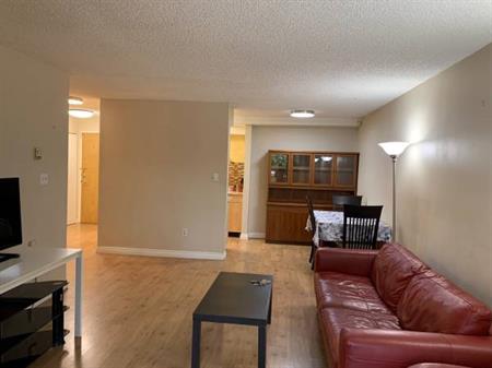 Near Lougheed Mall 2Bedroom 1Bath