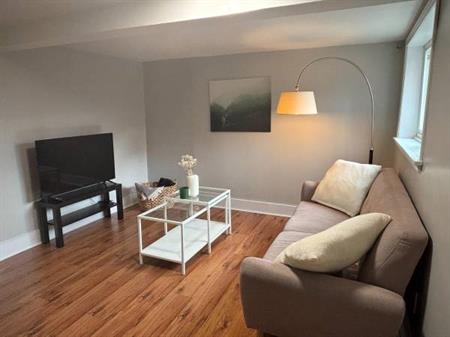 Furnished One Bedroom Suite near Braid Skytrain