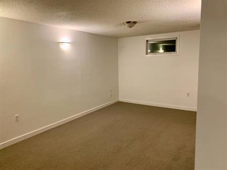 Spacious 1-Bedroom Basement for Rent