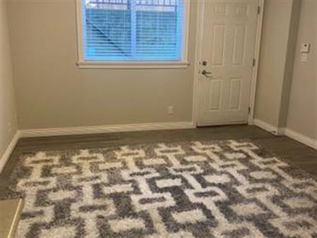 1 bedroom basement suite for rent