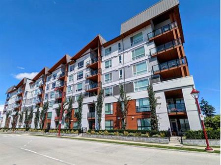 1 Bedroom 1 Den Apartment in North Delta/Surrey for Rent