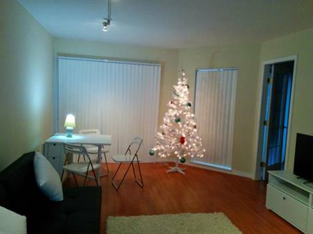 Bright Furnished 1Br+Den Close to VGH