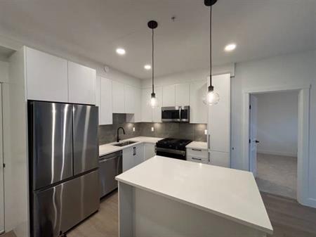 Brand New 2 bed 2 bath condo in South Surrey