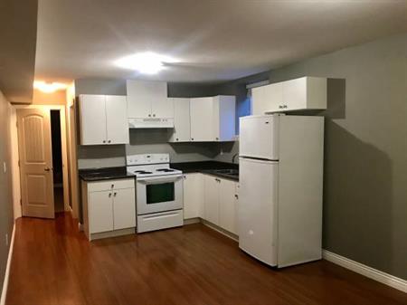 1 Bedroom Bachelor/Basement Suite