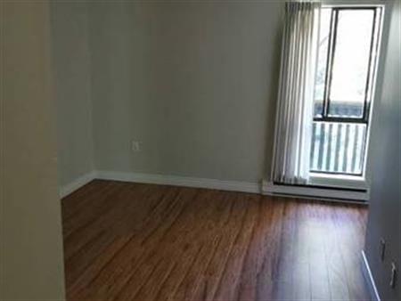 Beautiful 1 bedroom apartment. Best location