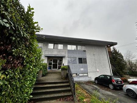 Large 1 bed 1 bath suite in Coquitlam