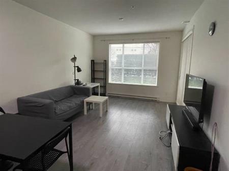 Large One bedroom furnished unit in prime Metrotown Burnaby