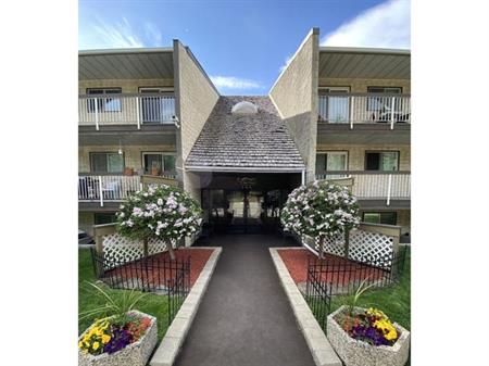 Newly Remodeled 1 & 2 & 3 Bdrm NOW Available, Starting @ $1400/mo w/ Incentives  EnSuite Washer/Dryer w/ Private Balcony | 14