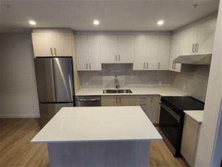 New 2 Bed/2 Bath Condo! Walk to Skytrain!